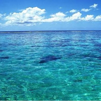 Air Laut Untuk Aquarium 1000L / Delivery Air Laut / Jual Air Laut