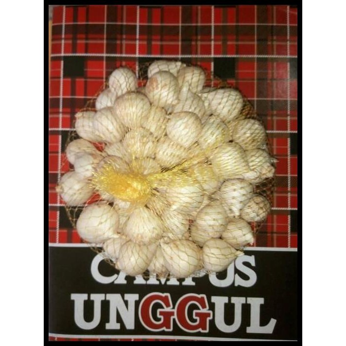 

Terlaris Bawang Putih Tunggal / Bawang Lanang -Bawang Kesehatan Herbal 500Gr Good Quality