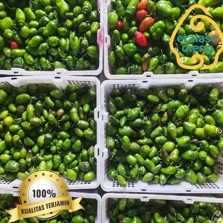

Mudah Digunakan Cabai / Cabe Gendot / 1.25 Kg / Cabe Gendut / Potongan Ongkir