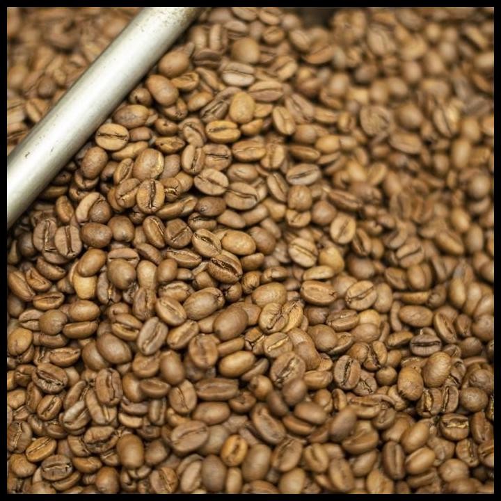 

Terlaris Kopi Arabika Gayo Wine | Biji Kopi Aceh Single Origin Arabica Special Good Quality