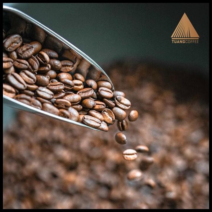 

Terlaris Roasted Bean Premium Arabica Washed Tuang Coffee Good Quality