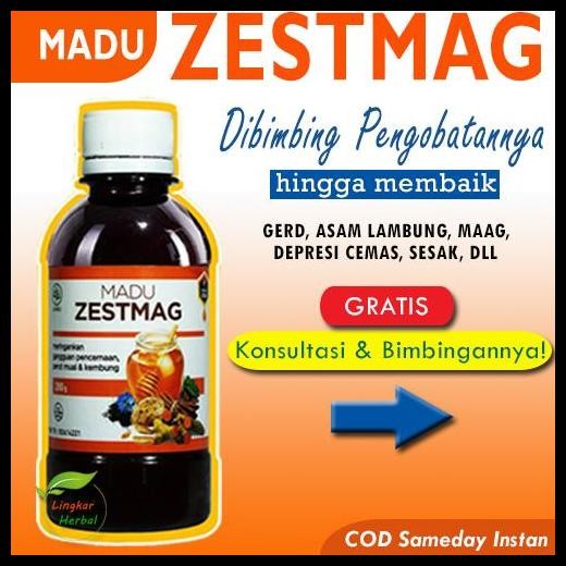 

Terlaris Madu Zestmag Madu Zetmag Madu Zetsmag Madu Zestmaag Zetmaag Zetmagh Good Quality