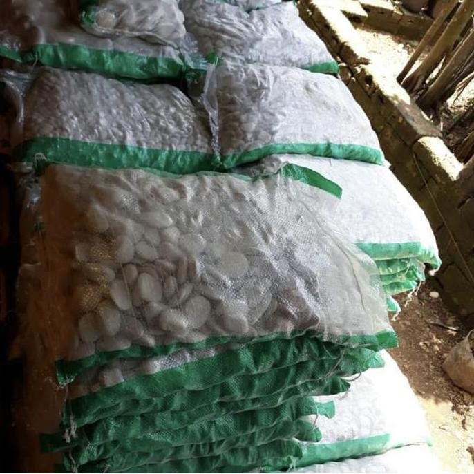 baru Batu Koral Putih kupang / Batu taman/ Batu Tabur Putih untuk Taman