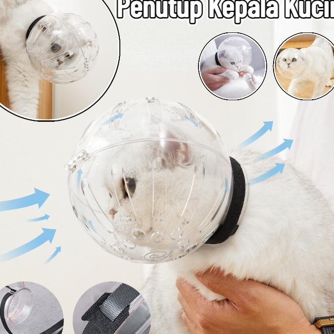 Penutup Kepala Kucing Brangus Kucing Brongsong Penutup Mulut Kucing