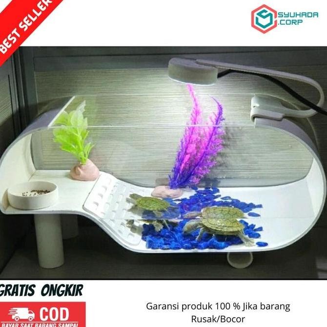 -Termurah  Aquarium Kura Kura Akuarium Kura Kura Brazil -