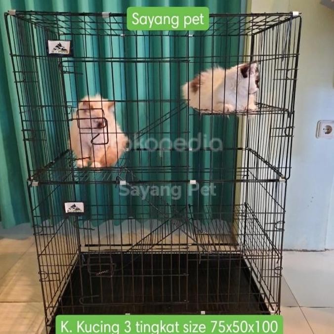 Kandang Kucing 3 Tingkat Ukuran Jumbo Xxl 75Cm Co