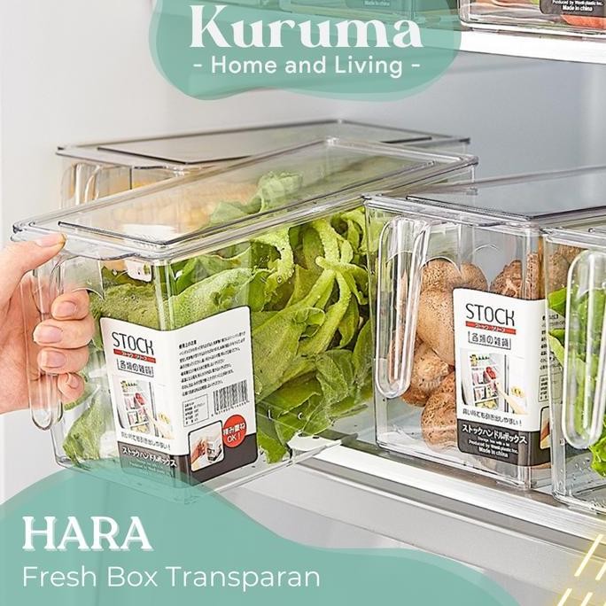 

Terlaris Kuruma - Hara Organiser Fresh Box Transparan Wadah Tingkat Makanan Kulkas Bening Organiser Simpan Makanan Minimalis Organizer Buah Kulkas Tingkat Wadah Simpan Sayuran Kulkas Praktis
