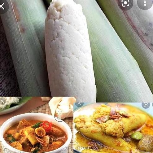 

terubuk sayur segar /1kg