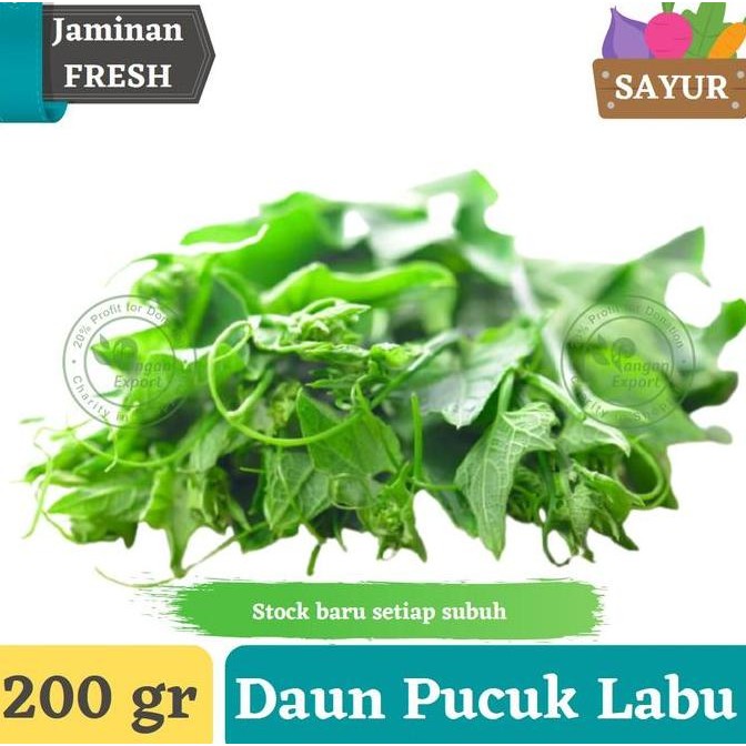 

Daun Pucuk Labu , Daun Labu Siam | Sayur Buah Segar