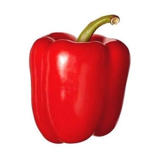 

Paprika merah FRESH termurah / sayur segar
