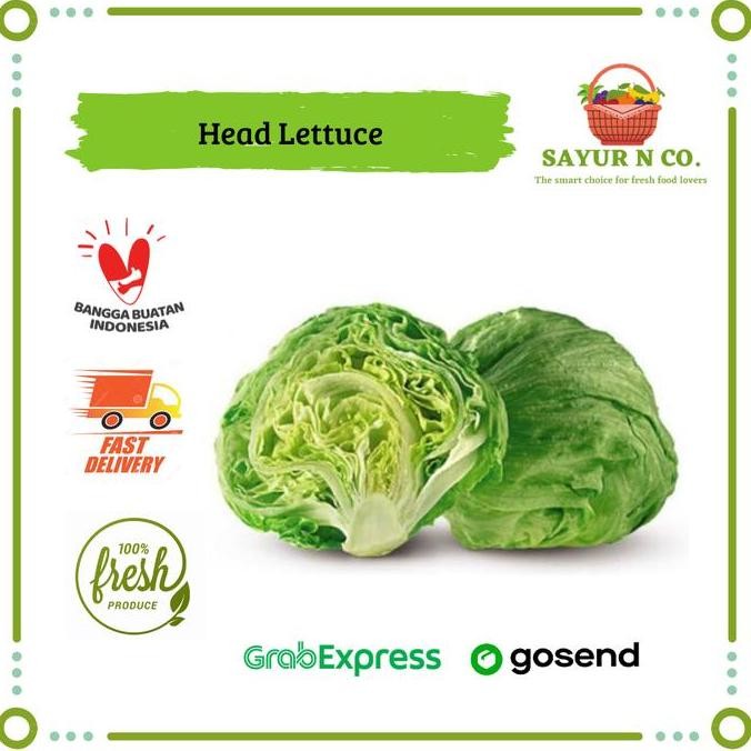 

Head Lettuce - Selada Iceberg Segar | Sayur N Co Bekasi