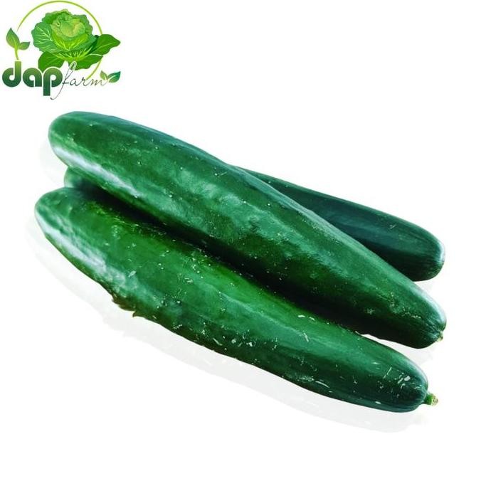 

Timun Jepang Kyuri / DAP Farm / Sayur Segar Jakarta