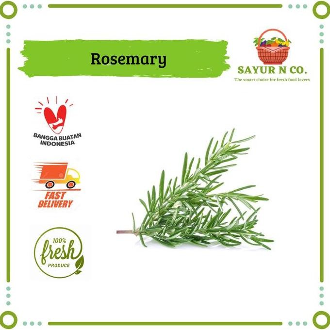 

Daun Rosemary Segar | Sayur N Co Bekasi