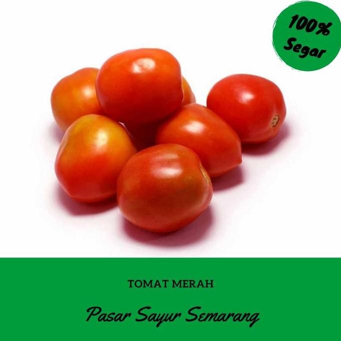 

Sayur Sayuran Buah Tomat Merah Segar Fresh 500 gram