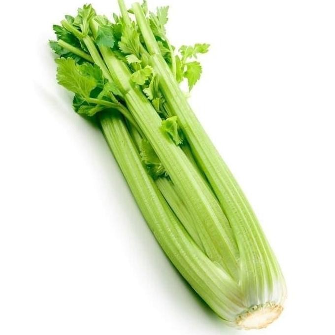 

LOLA Sayur Segar Batang Seledri Celery Stick IMPORT 1/4 Kg 250 gr