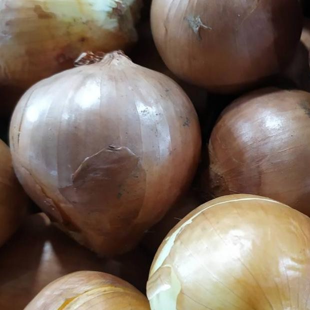 

Bawang bombay /500 gram