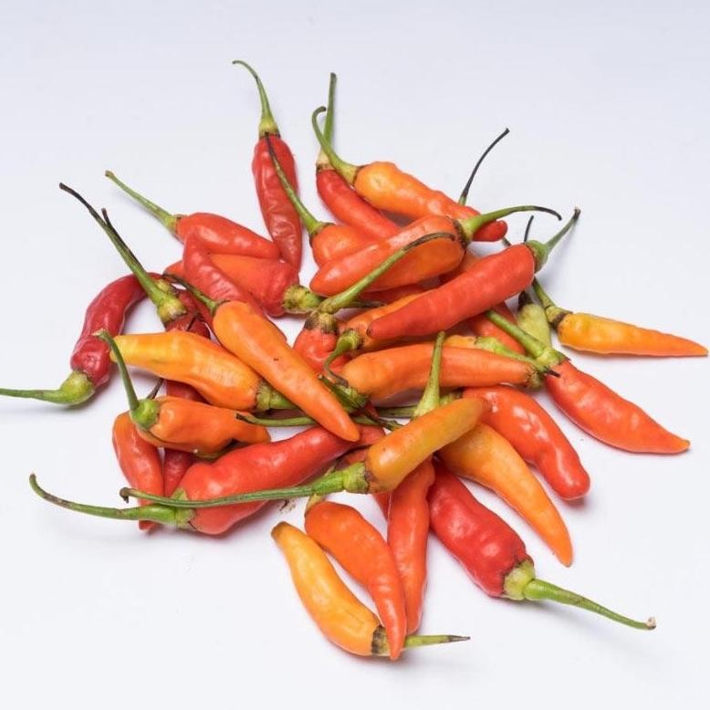

CABAI RAWIT / CABE RAWIT / LOMBOK KECIL
