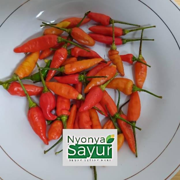 

Cabe/Cabai Rawit Merah
