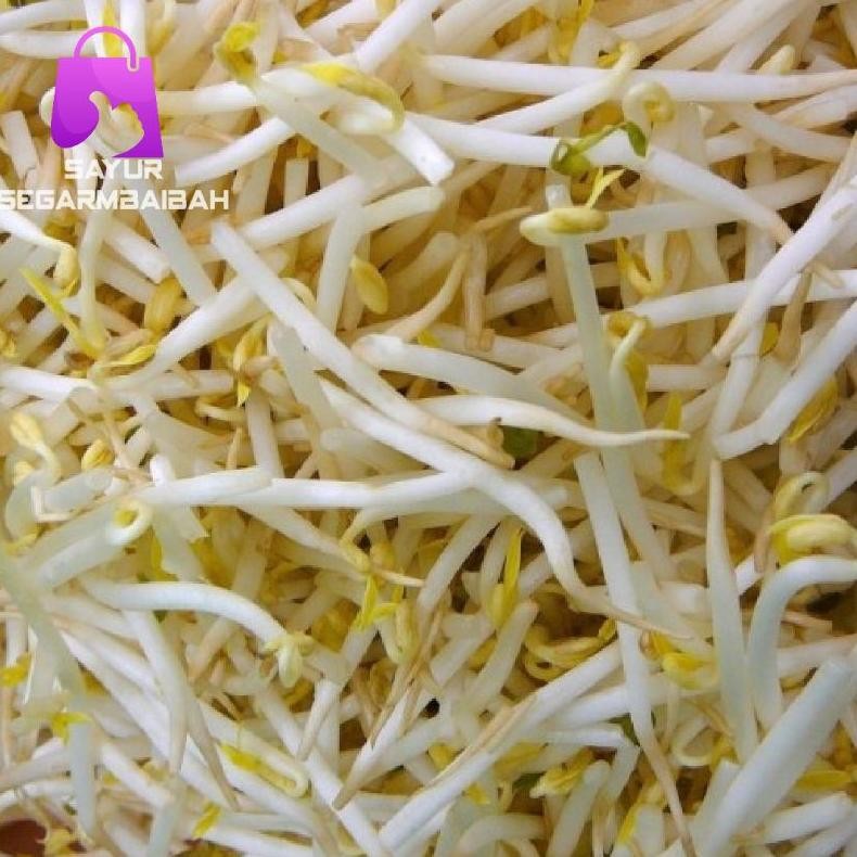 

toge segar/sayursegar