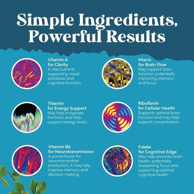 Nature'S Craft Nootropics Brain Support Supplement Mental Focus Nootropic Memory