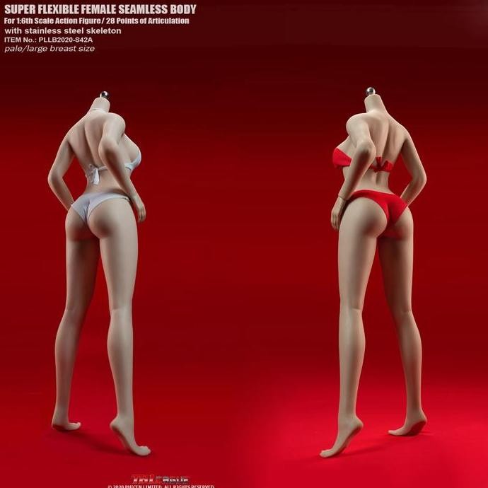 Phicen Tbleague Female Body S42A S43A 1/6