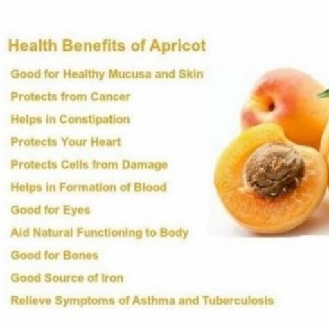 

Dried Apricot Buah Apricot Kering 500 Gram