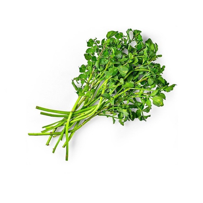 

Selada Air / Watercress Konvensional Kiosayur