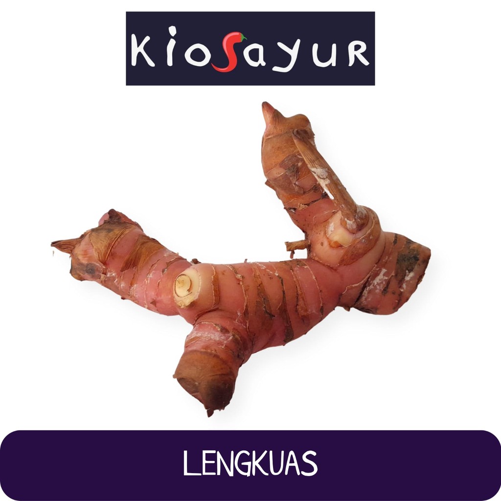 

Lengkuas / Laos Segar Kiosayur