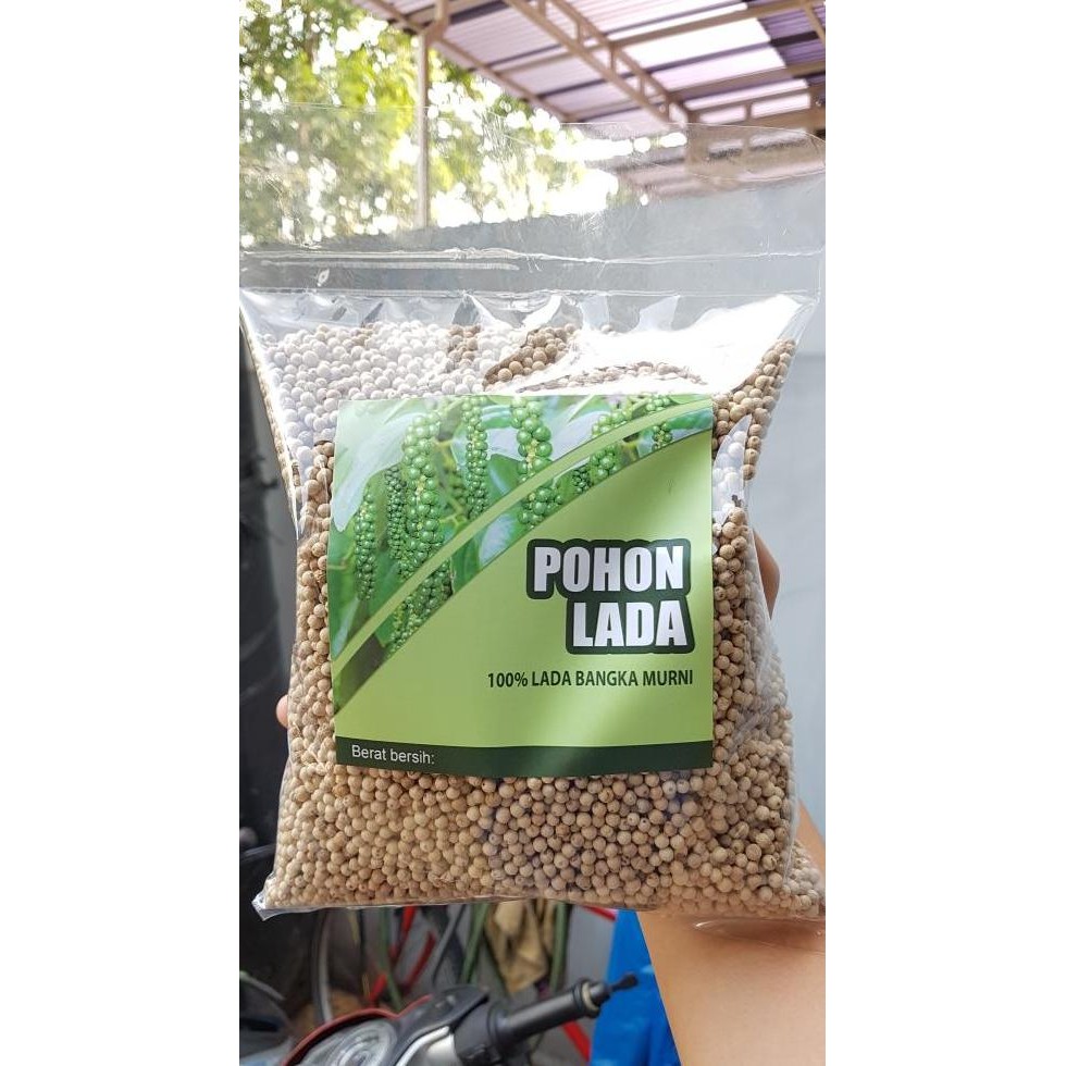 

Lada Putih Bangka Premium Bangka 1Kg Butiran