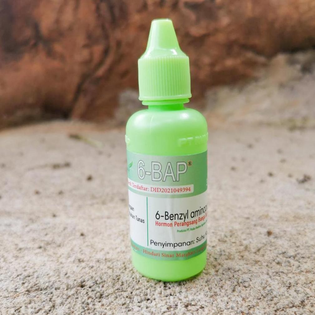 Special Pupuk Hormon Pertumbuhan 6-Bap Original Eqw-68