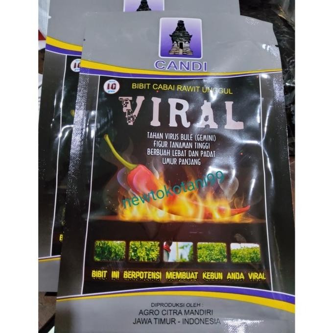 (Allthebest) Benih cabe VIRAL 10 gram cabe rawit viral 10gr dari agro citra mandiri