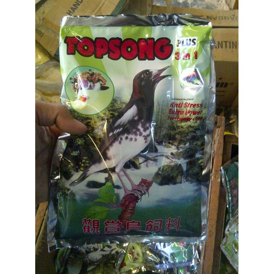 

New* Topsong Coklat .