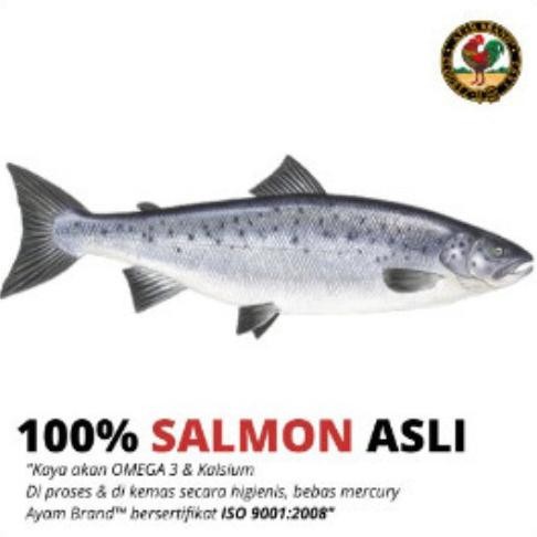 

ready Ayam Brand - Ikan Salmon Kaleng Spread 3 pcs 160gr murah