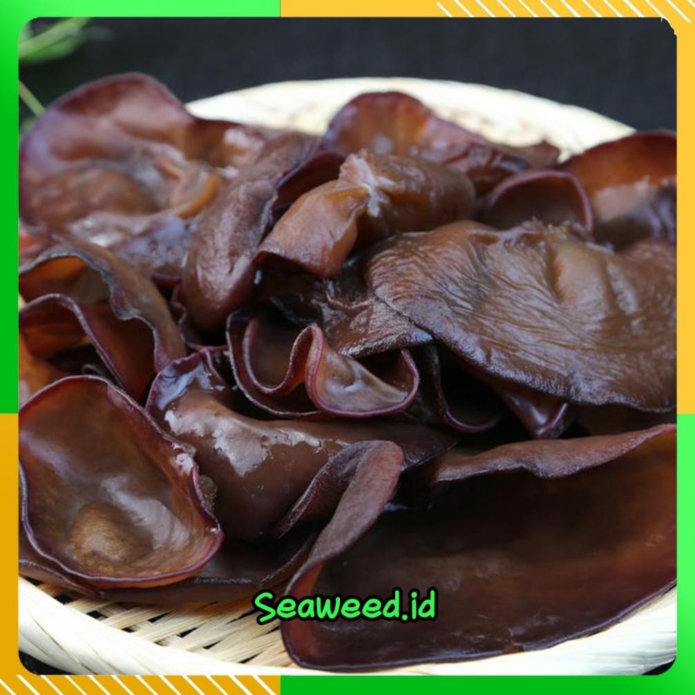 

ready Jamur Kuping Kering 1 KILOGRAM | Jamur Hitam Kering GRADE A murah