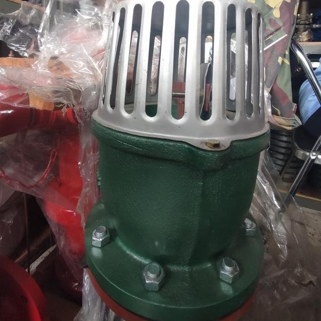 Foot Valve 6Inch Mizzu Flange