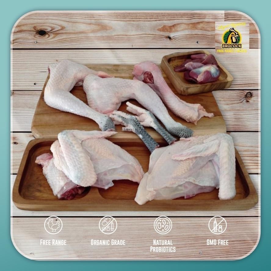 

Ayam Kampung Utuh Brocock | Segar Siap Masak Original