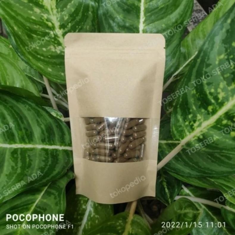 

120 kapsul Foshan Resep Herbal Menutrisi Menyehatkan Daun Paru Paru