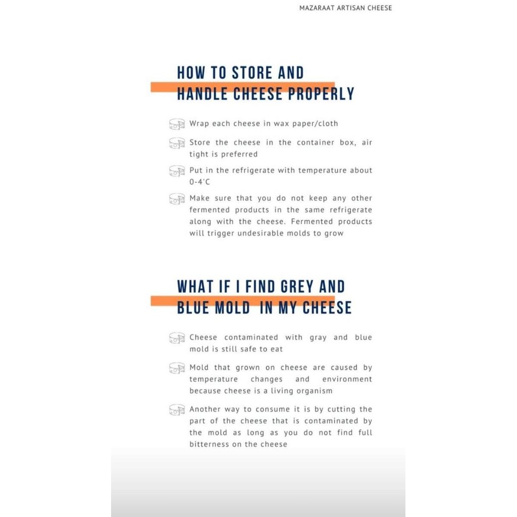 

Murah Saint Paulin Aging Cheese By Mazaraat Artisan Cheesemaker