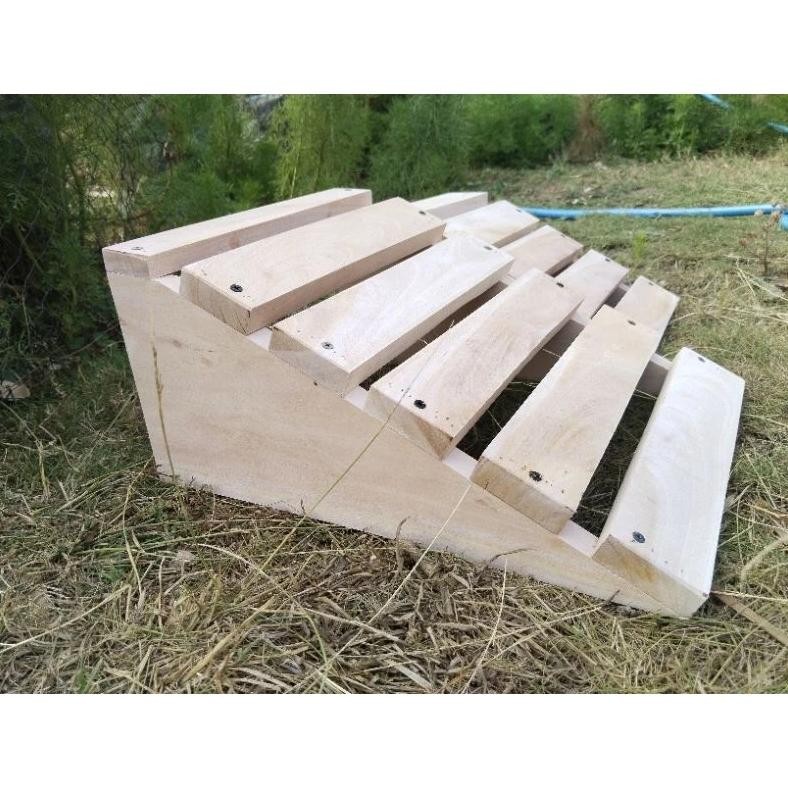 Tanjakan Motor Multifungsi Solusi Naik Turun Aman di Rumah