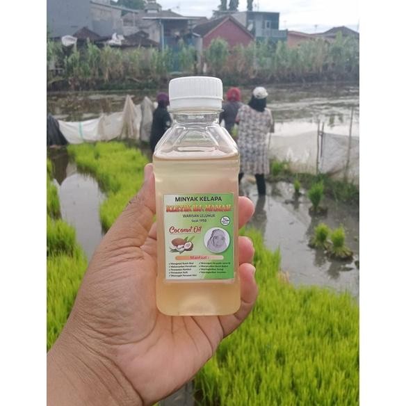 

Minyak Kletik Kelapa 100% Minyak Kletik Minyak Klentik Minyak Kelapa Minyak Kletik 250ml RB10
