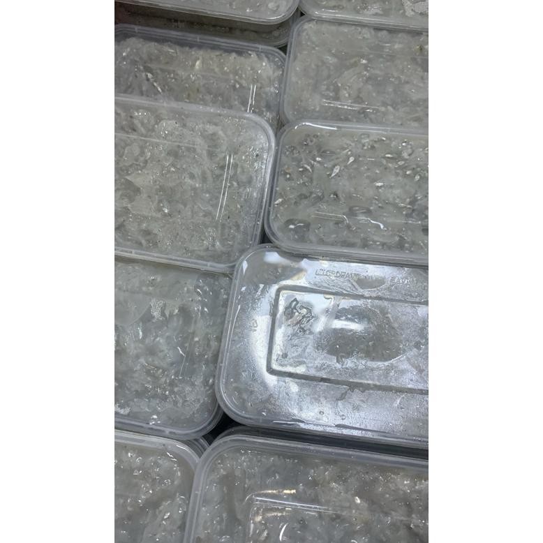 

Teri Nasi Basah Fresh Frozen/Teri Nasi Basah MPASI 500grm RB10