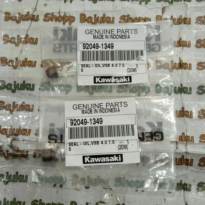 seal klep kawasaki athlete blitz edge zx130