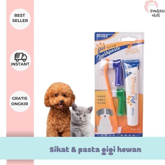 sikat gigi kucing dan odol - sikat gigi kucing - sikat gigi anjing