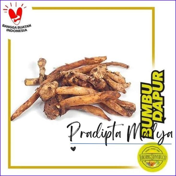 

Paling Murah.! Temu Kunci - 250 Gr