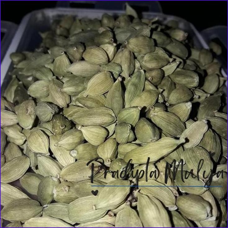 

Yok Di Order Kapulaga Hijau/Green Cardamom 10G