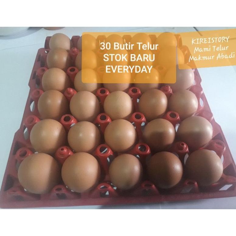 

TELUR AYAM OMEGA 30 BUTIR STOCK BARU