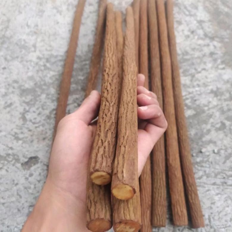 Sepasang Tangkringan Asam Jawa Super 65Cm Ukuran Murai Kacer Kenari Cucak Ijo Pentet Plangkringan Te