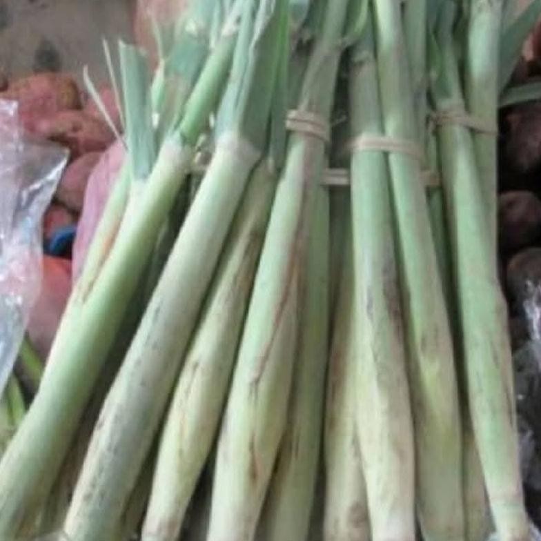 

500 GRAM TERUBUK/TELUR TEBU SEGAR