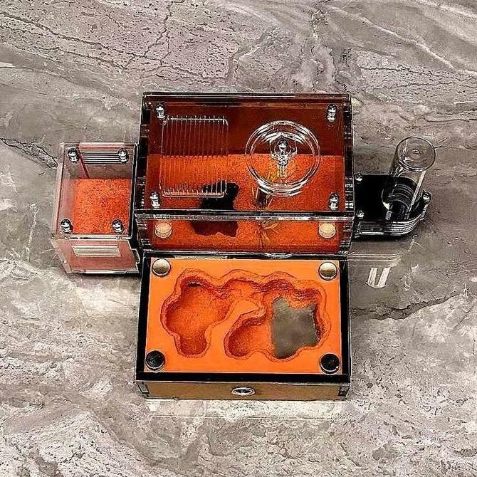 TERBARU - Formicarium Ecological Mini Datar Premium, Formicarium akrilik, Formicarium kaca, ants nes