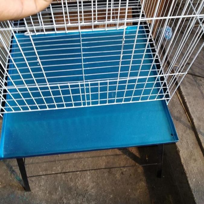 Terlaris Kandang Burung Jalak. Beo Ayam Kate. Serama Dan Lain Lain Ready Stok